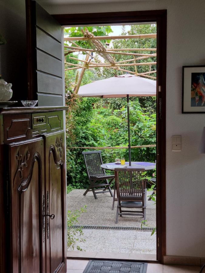 Villa El Correc Laroque-des-Alberes Экстерьер фото