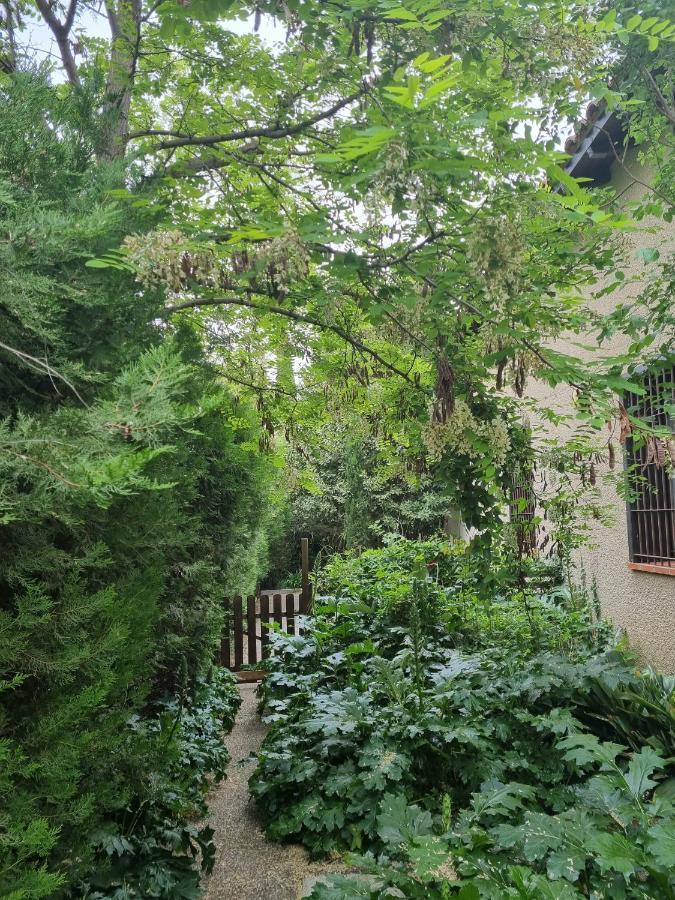 Villa El Correc Laroque-des-Alberes Экстерьер фото